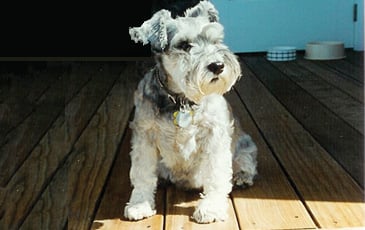 Maddie